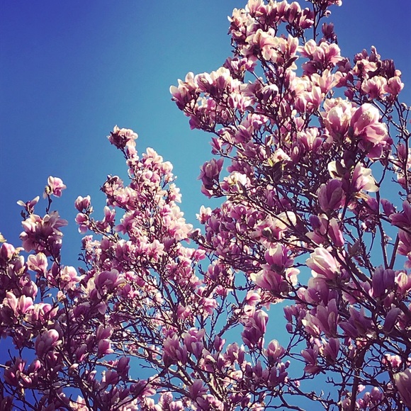 meet me - Picture 5 of 16